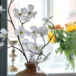 Cherryy Apartmán *