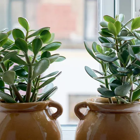 Cherryy 公寓 哥本哈根