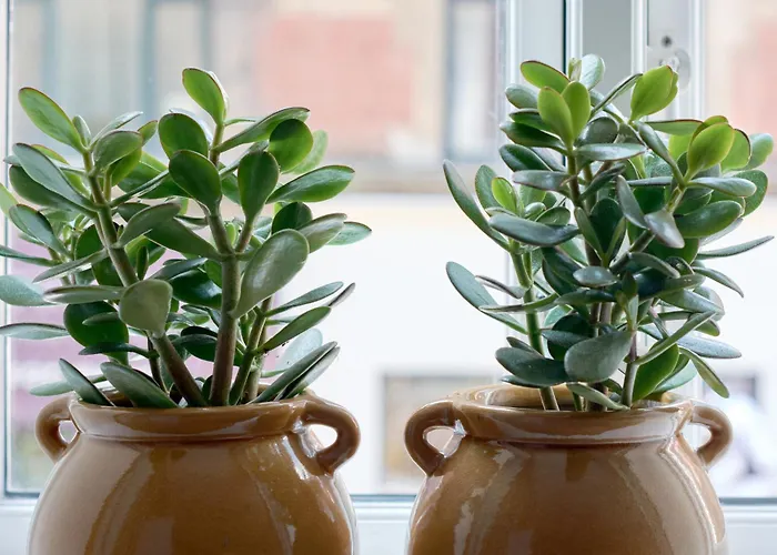 Cherryy 公寓 哥本哈根